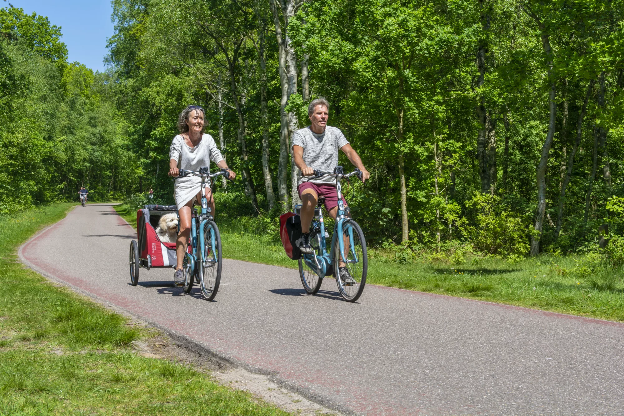 Bicycle rental